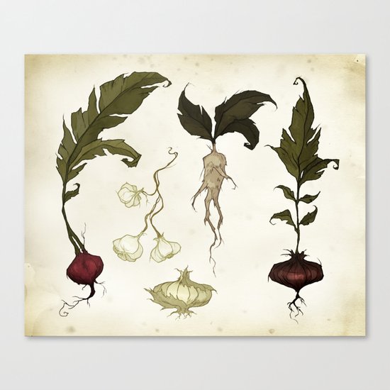 Root Vegetables Canvas Print