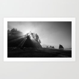 Morning Epiphany - Rising Sun Shines Through Pine Trees, Ruby Beach, Pacific Northwest, Washington, USA Art Print