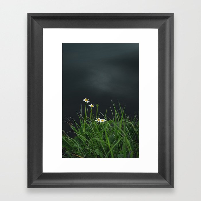 Wild Daisy Flower Against a Background of Water Stream Framed Art Print