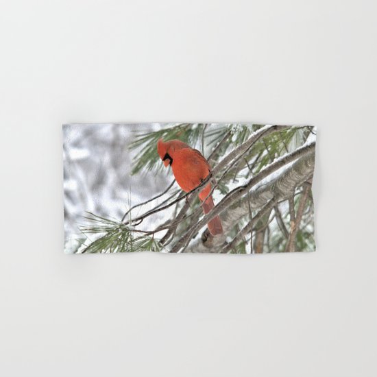 Snow Globe Cardinal Hand & Bath Towel