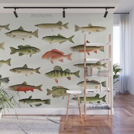 Illustrated North America Game Fish Identification Chart Wall Mural