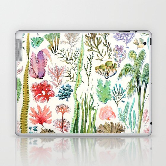 Adolphe Millot "Algues" B. Laptop & iPad Skin
