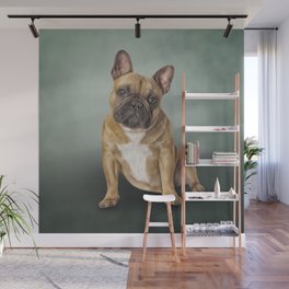 Drawing dog French Bulldog Wall Mural