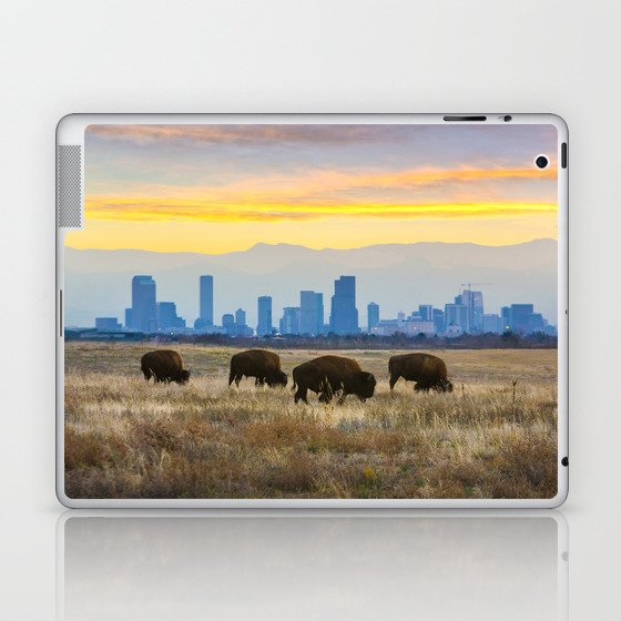 City Buffalo Laptop & iPad Skin