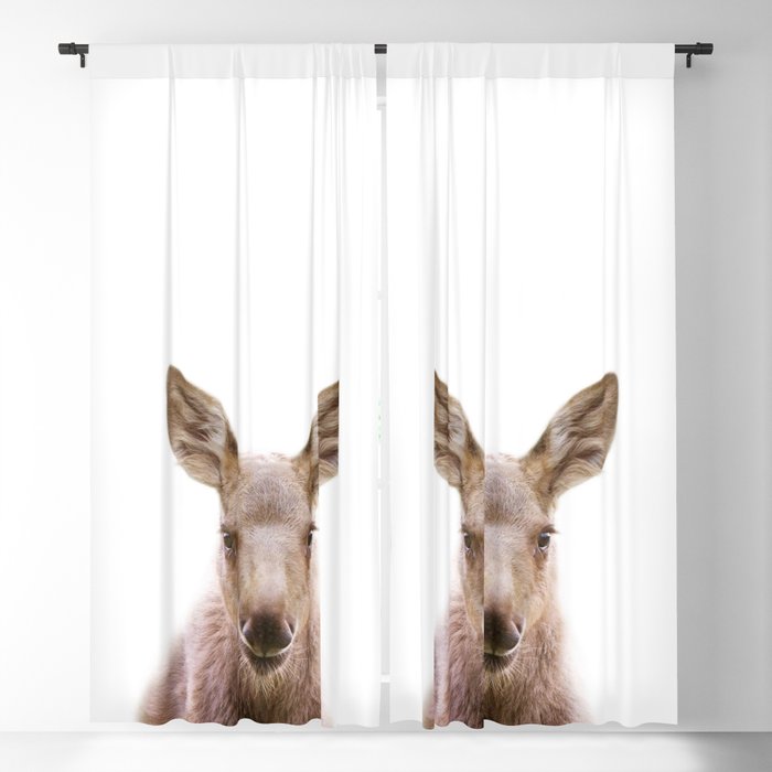 Blackout Curtain