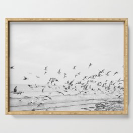 "Seagulls" | Coastal black and white photo | Film photography | Beach Serving Tray