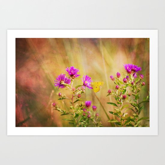 Wonder Art Print