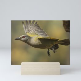 Birds of the Jungle-3 Mini Art Print