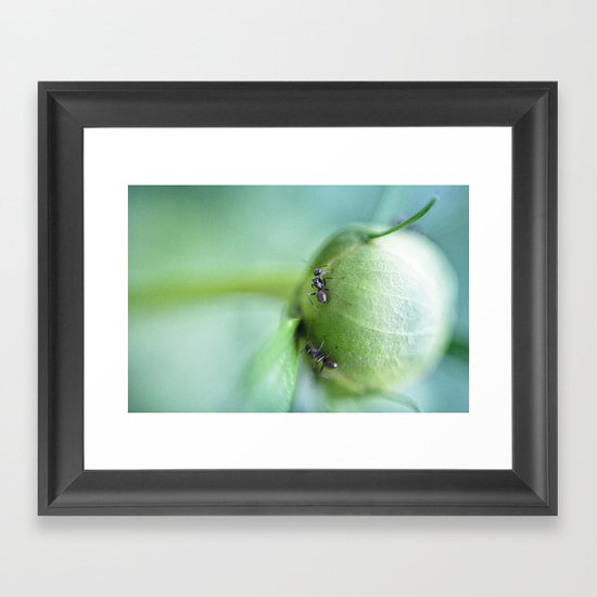 the climb Framed Art Print