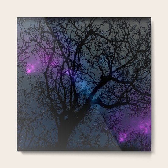 nature-27 Metal Print