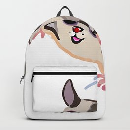 Sugar Glider Backpack | Unusualpets, Funnypictures, Sugarglider, Animal, Pet, Graphicdesign 