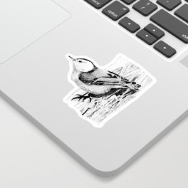 White-breasted Nuthatch Stipple Drawing Sticker