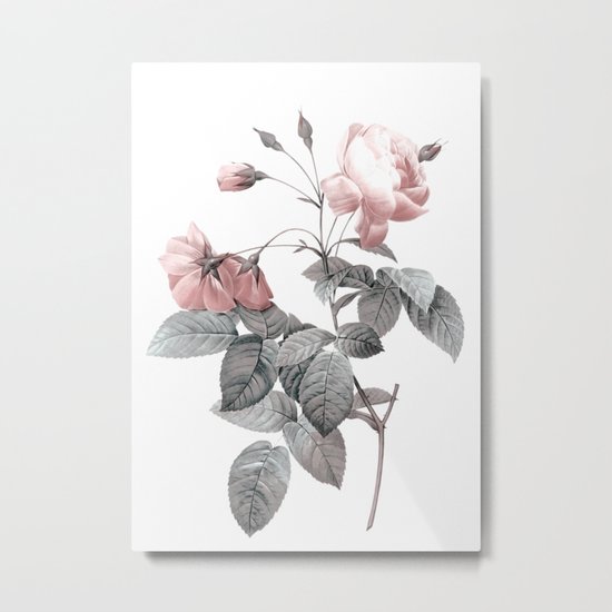Rose 2 Metal Print