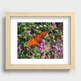 Vibrant Butterfly Recessed Framed Print