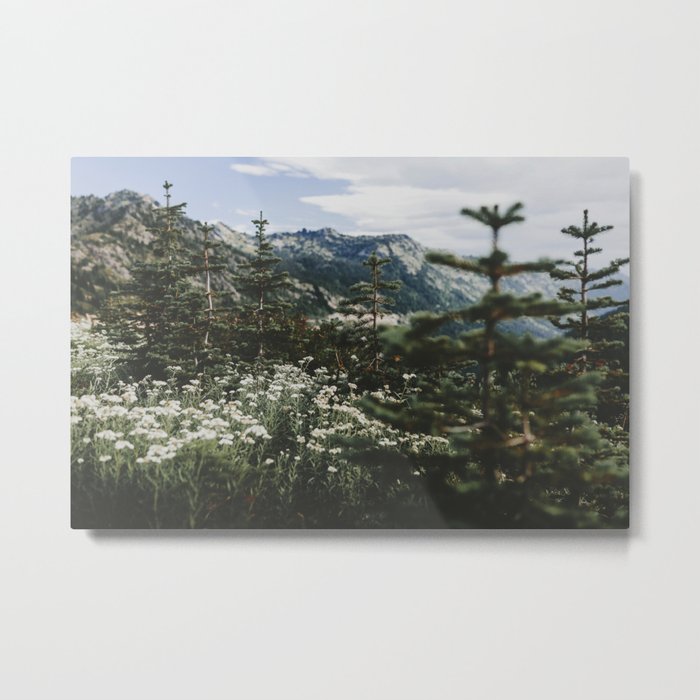 Mount Rainier Summer Wildflowers Metal Print