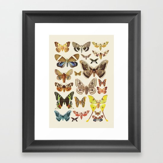 Collection Framed Art Print