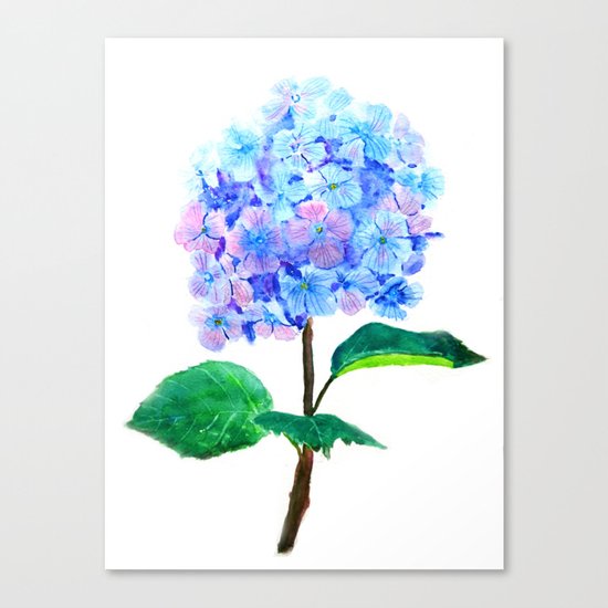 blue purple hydrangea Canvas Print
