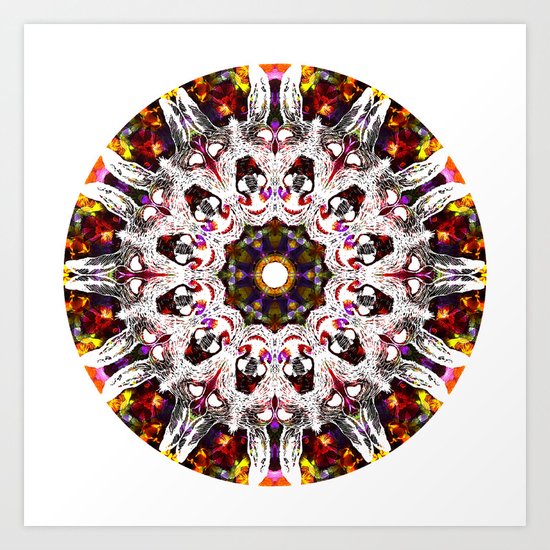 Donkey Flower Kaleidoscope Art Print