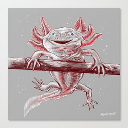 Axolotls Salamander Canvas Print
