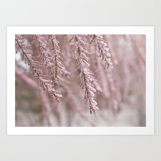 Ramas rosas Art Print