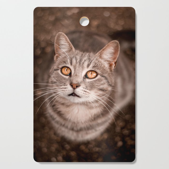 Cat looking up | Animal Cutting Board