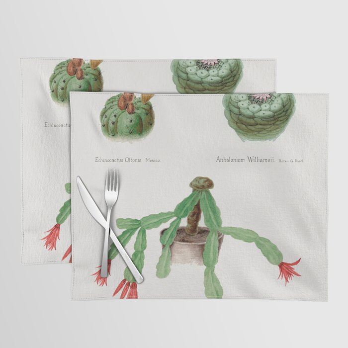 Peyote, Indian Head, and Christmas Cactus Placemat