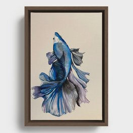 betta fish art print Framed Canvas