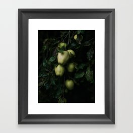 Apple Tree Framed Art Print