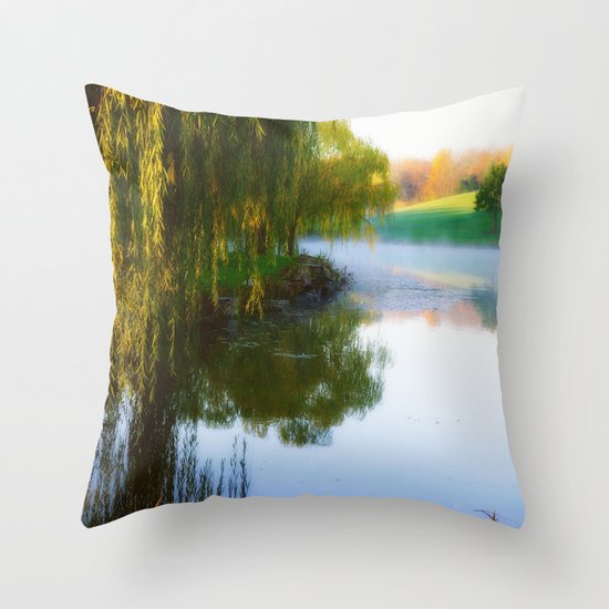 Morning mist on Schnormeier pond Throw Pillow