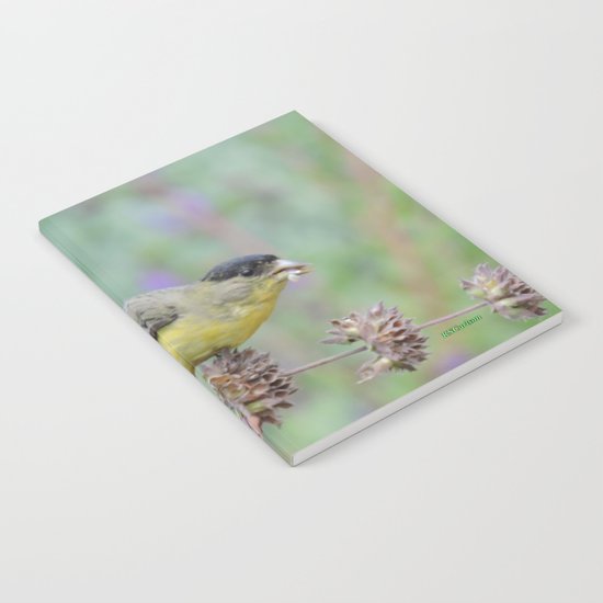 Lesser Goldfinch Snacks on Seeds Notebook