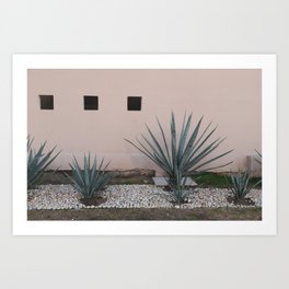 Blush Agave Mexico #1 #wall #art #society6 Art Print