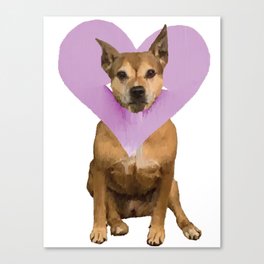 Pitbull Heart Love Canvas Print