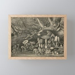 Mushrooms and Toadstools Framed Mini Art Print