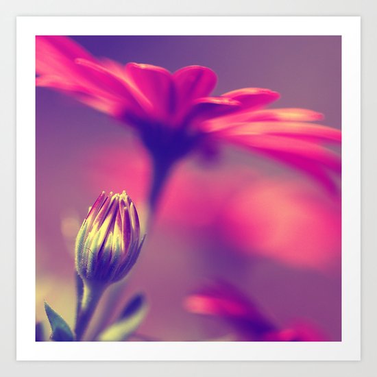 flower bud Art Print