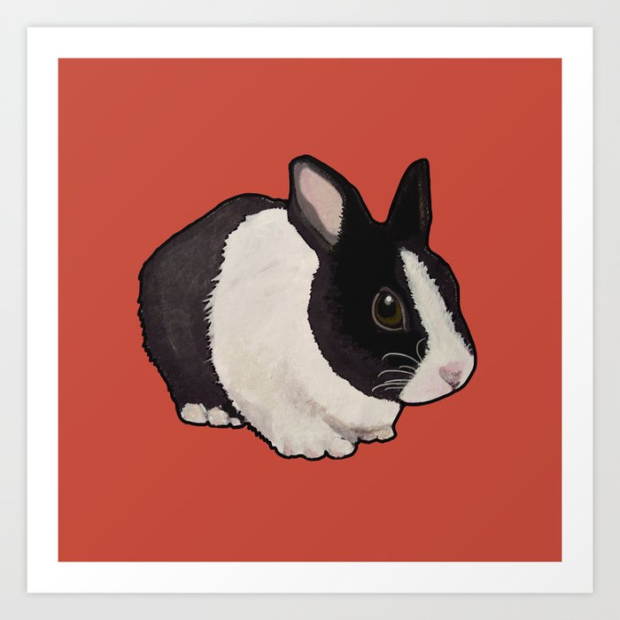 tuxedo-rabbit