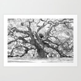 The Angel Oak - Charleston, South Carolina Art Print