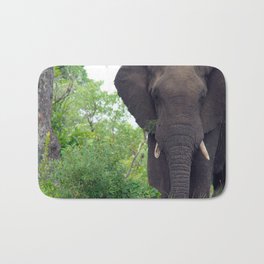 South Africa Photography - Elephant Walking Through The Forest Bath Mat