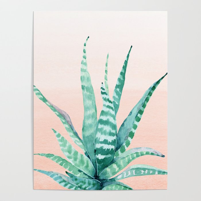 Desert Succulent Aloe Vera Poster