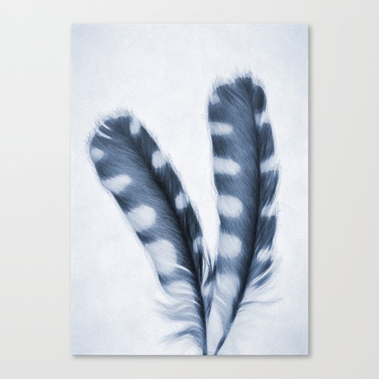 Soft Two Canvas Print