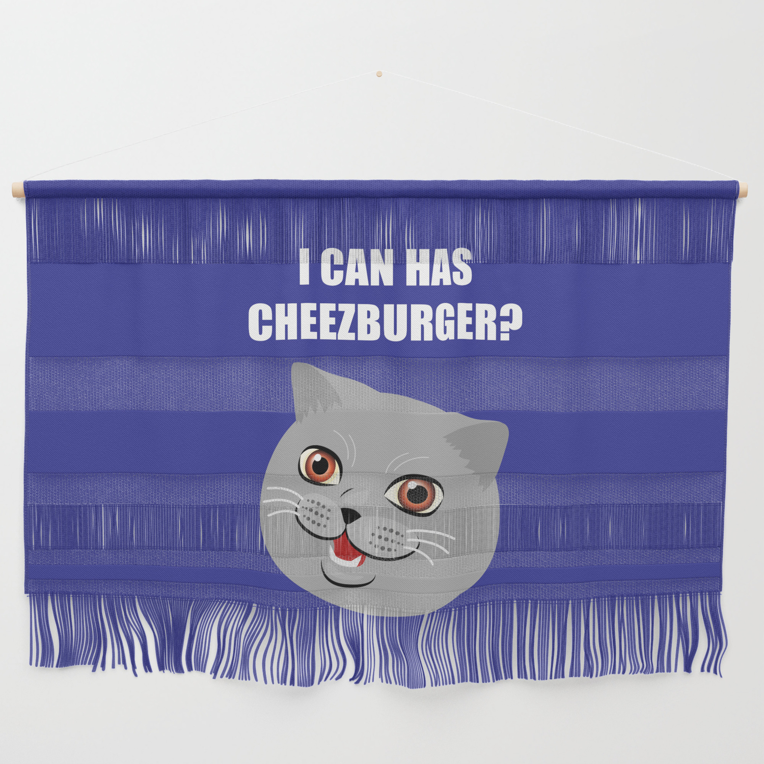 Funny Cat Meme I Can Has Cheezburger Wall Hanging By