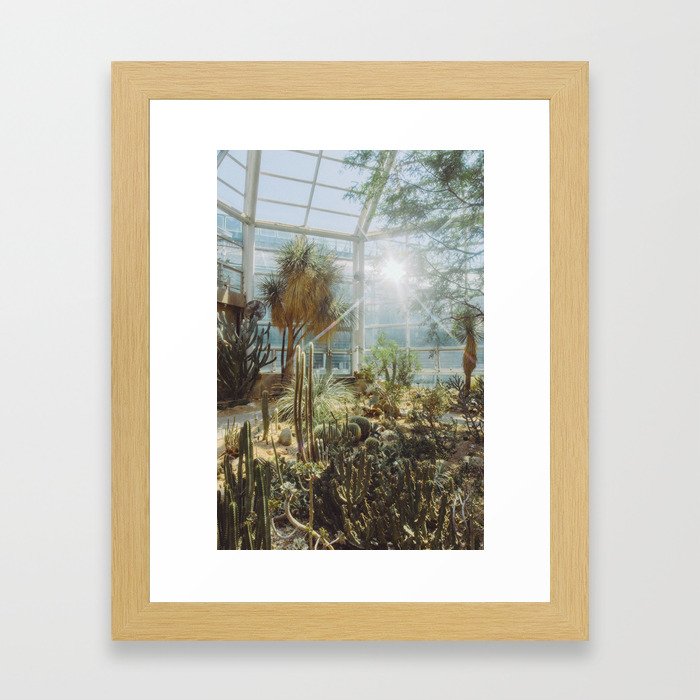Conservatory Framed Art Print