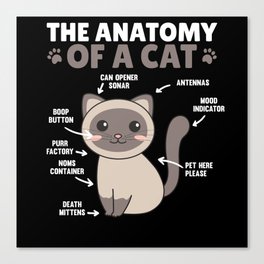 The Anatomy Of A Cat Funny Explanation Of A Cat Canvas Print