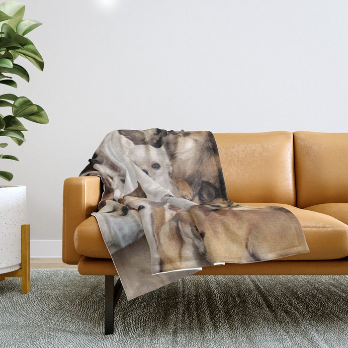 Chihuahuas Throw Blanket