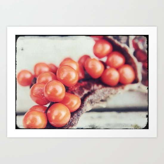 Seed Pods II Art Print
