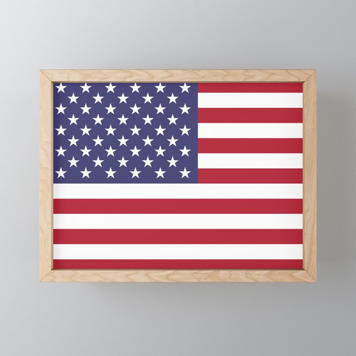 USA flag Framed Mini Art Print