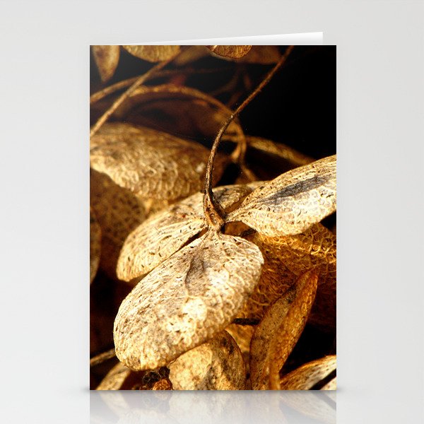 Autumn Hydrangea Stationery Cards