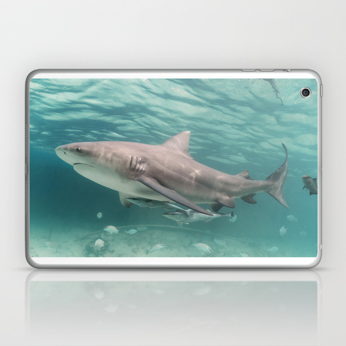 Beauty And The Bull Laptop Ipad Skin By Biminisharkgirl Society6