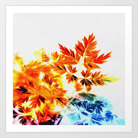Enchanted Fern Leaves Art Print