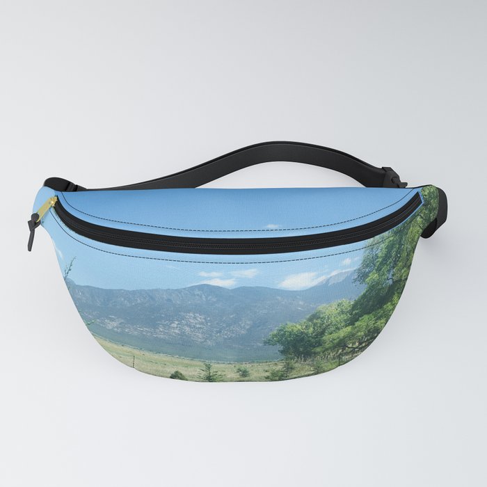 Out Of State Out Of Mind Fanny Pack