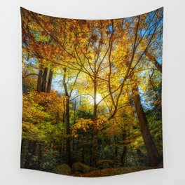 Sky Fire - Sunlight Illuminates Fall Color on Autumn Day in Forest in Great Smoky Mountains Tennessee Wall Tapestry